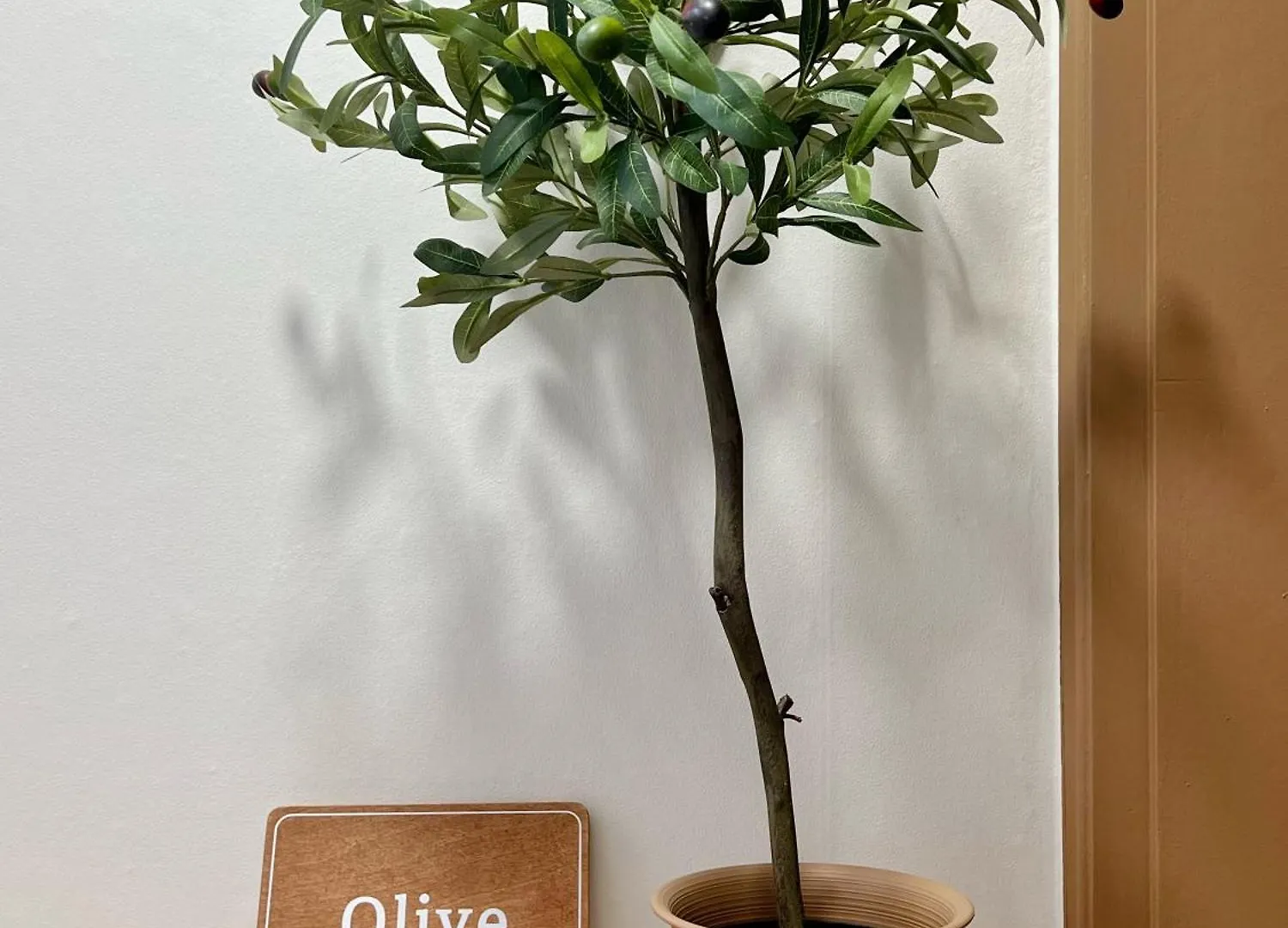 Busan Olive House Gwangalli Beach Apartment